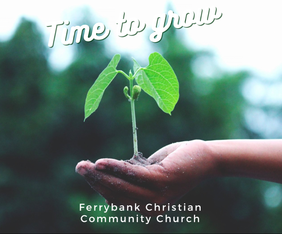 Time to Grow#1: Our Model of Evangelism